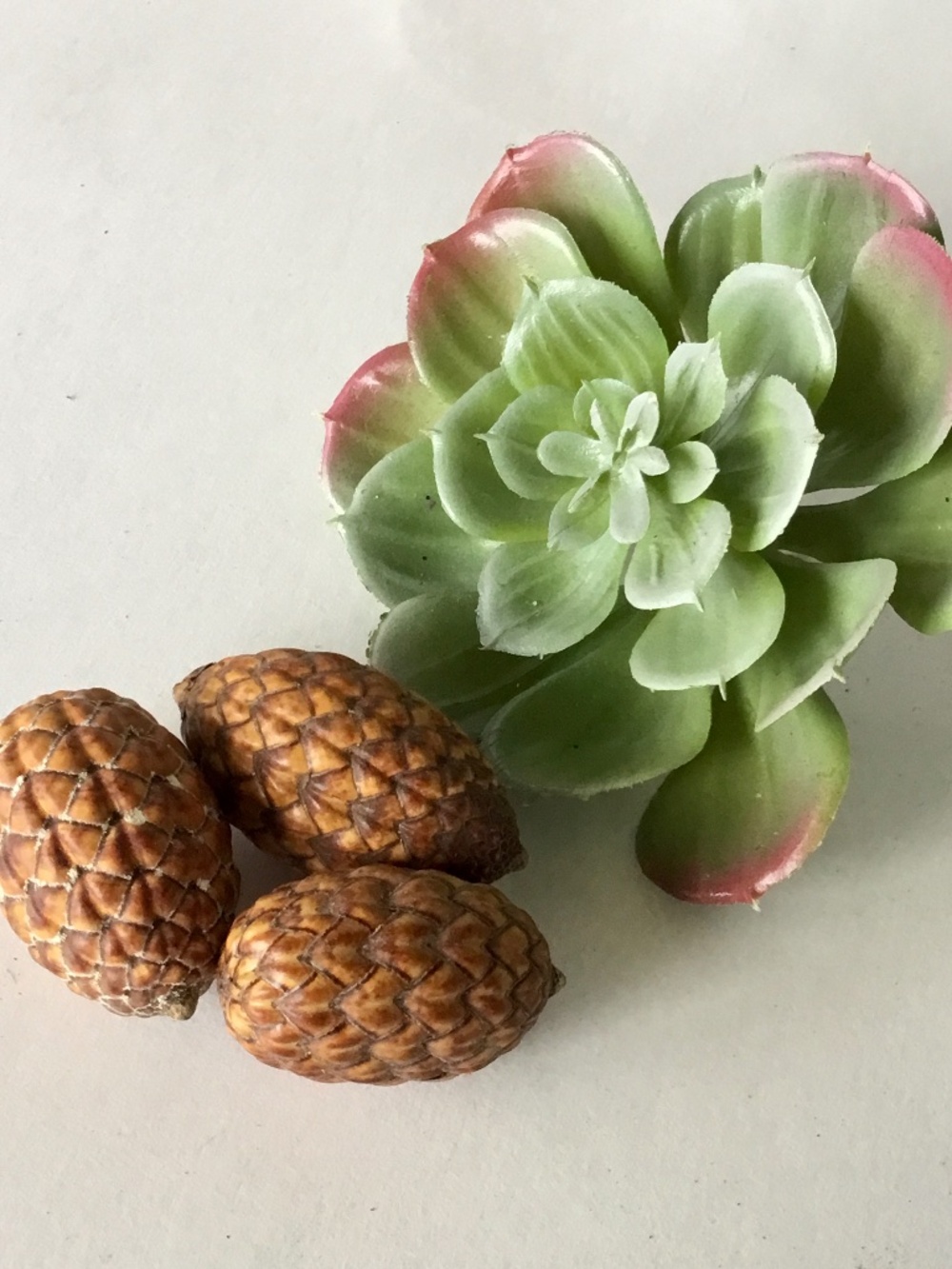 20 Golden Rattan Pods 1”